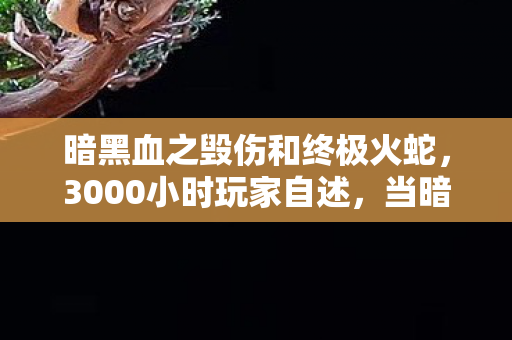 当暗黑血之毁伤成为跨平台玩家的集体创伤图片