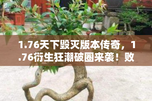 败家玩家用周边堆出毁灭级人生图片