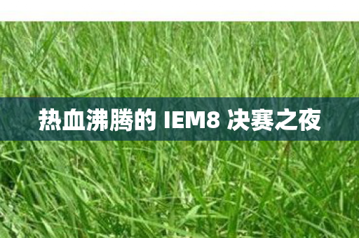 热血沸腾的 IEM8 决赛之夜 热血沸腾的 IEM8 决赛之夜