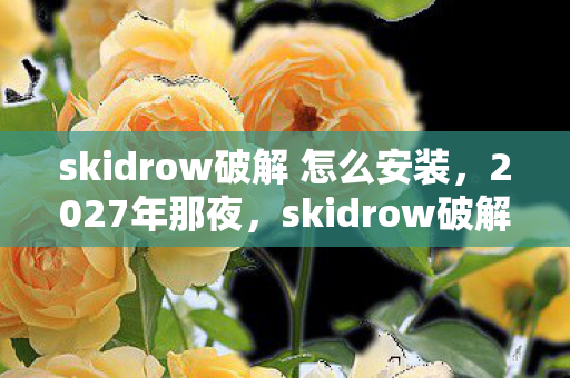 skidrow破解 怎么安装图片
