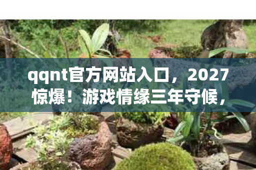 qqnt官方网站入口图片