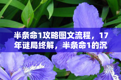 半条命1的沉默史诗如何让全球玩家泪目图片