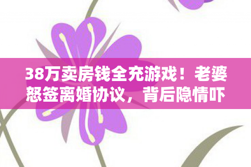 38万卖房钱全充游戏图片