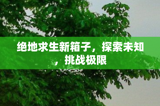 绝地求生新箱子,探索未知,挑战极限 绝地求生新箱子,探索未知,挑战极限
