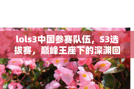 lols3中国参赛队伍图片