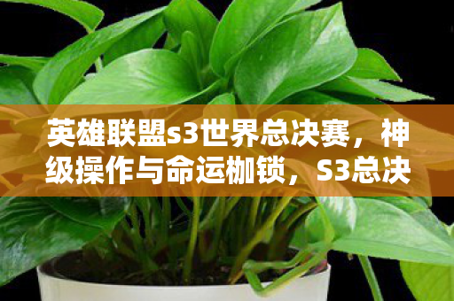 英雄联盟s3世界总决赛图片