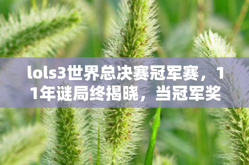 lols3世界总决赛冠军赛图片