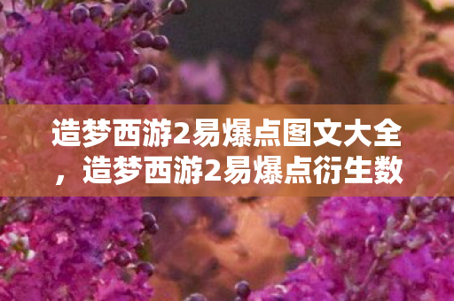 造梦西游2易爆点衍生数破圈图片