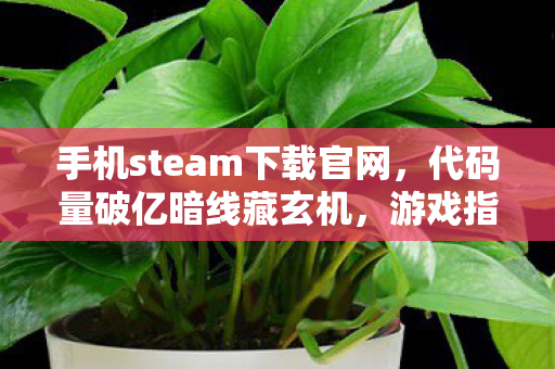 游戏指挥官的头皮发麻现实突围图片