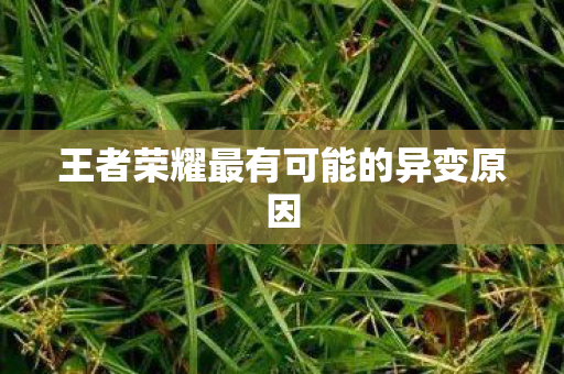 王者荣耀最有可能的异变原因 王者荣耀最有可能的异变原因