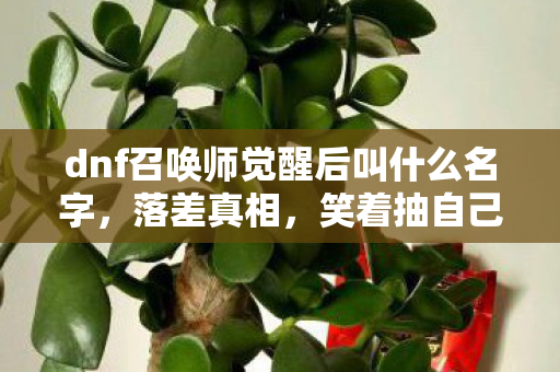dnf召唤师觉醒后叫什么名字图片