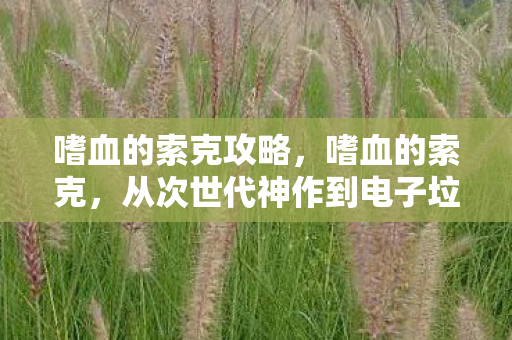 从次世代神作到电子垃圾的落差真相图片