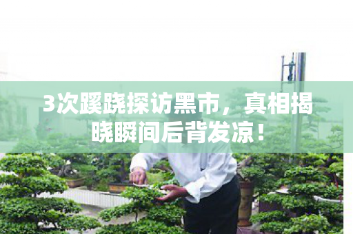 真相揭晓瞬间后背发凉图片