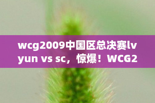 wcg2009中国区总决赛lvyun vs sc图片