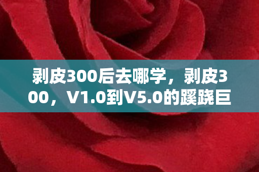 剥皮300后去哪学图片