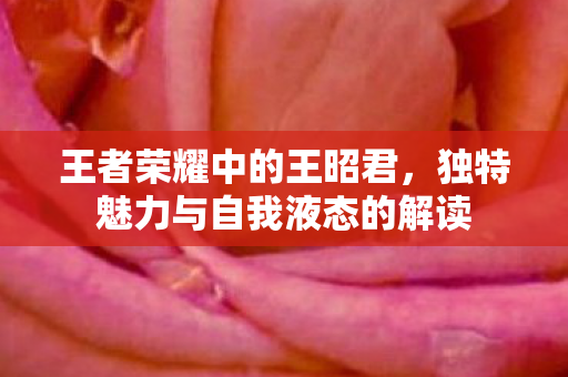 王者荣耀中的王昭君,独特魅力与自我液态的解读 王者荣耀中的王昭君,独特魅力与自我液态的解读