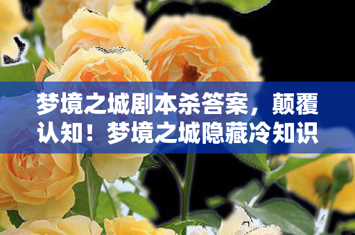 梦境之城隐藏冷知识大揭秘图片