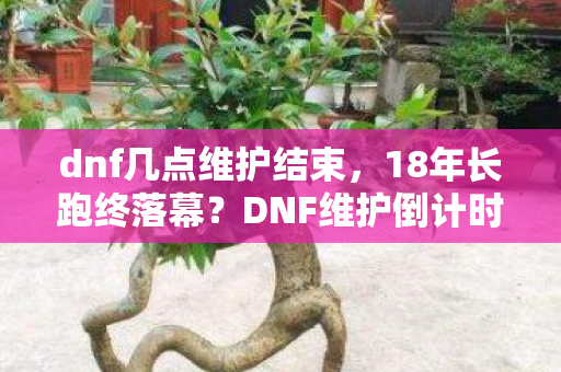 DNF维护倒计时背后的谜面图片