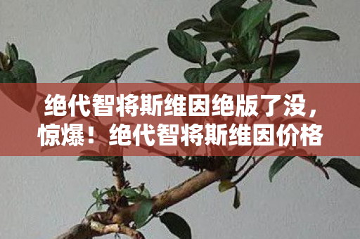 绝代智将斯维因价格大揭秘图片