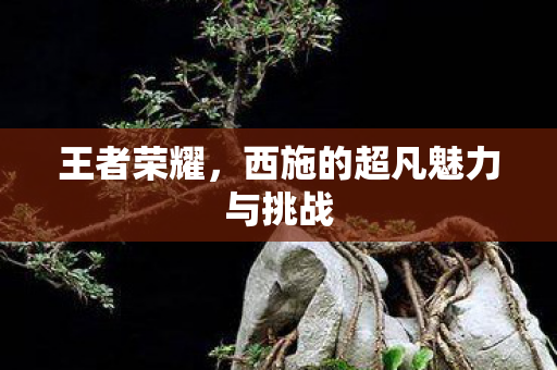 王者荣耀,西施的超凡魅力与挑战 王者荣耀,西施的超凡魅力与挑战