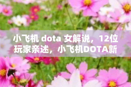 小飞机DOTA新版本疑点重重图片