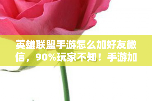 英雄联盟手游怎么加好友微信图片