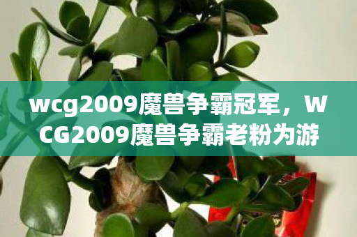 WCG2009魔兽争霸老粉为游戏狂充80万图片
