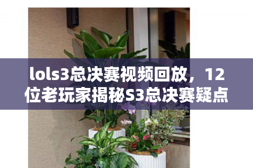 12位老玩家揭秘S3总决赛疑点图片