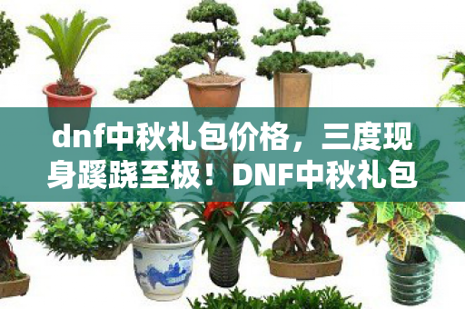 DNF中秋礼包背后真相图片