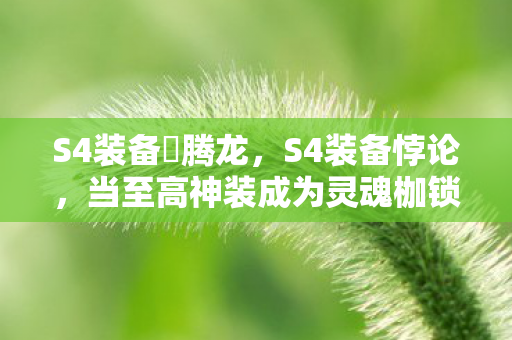 当至高神装成为灵魂枷锁图片