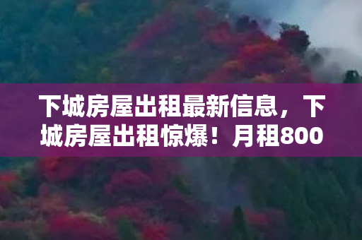 月租800竟藏致命隐情图片