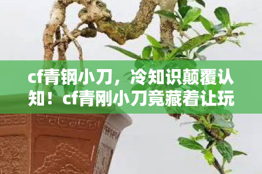 cf青刚小刀竟藏着让玩家目瞪口呆的秘密图片