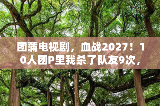 10人团P里我杀了队友9次图片