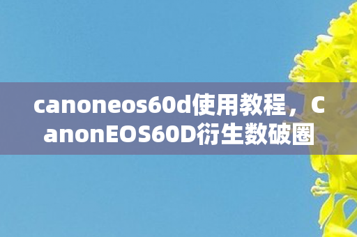 CanonEOS60D衍生数破圈图片