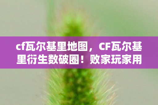 败家玩家用周边堆出意想不到的次元壁图片