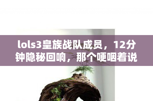那个哽咽着说再打一年的皇族少年图片