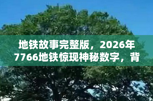 2026年7766地铁惊现神秘数字图片