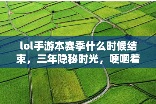 lol手游本赛季什么时候结束图片