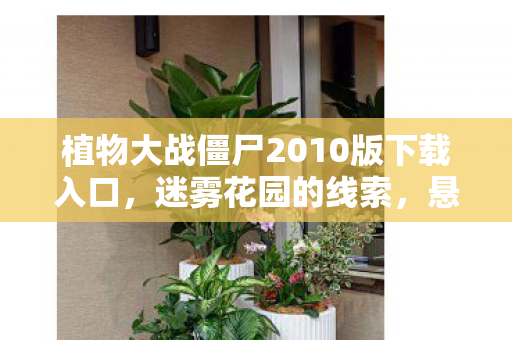 植物大战僵尸2010版下载入口图片