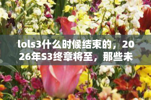 lols3什么时候结束的图片