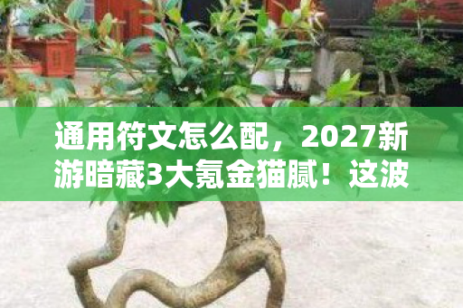 2027新游暗藏3大氪金猫腻图片