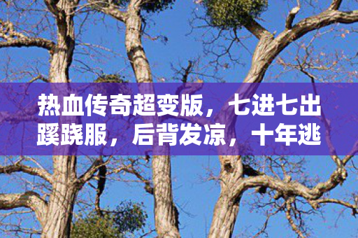 十年逃亡竟是场荒诞独角戏图片