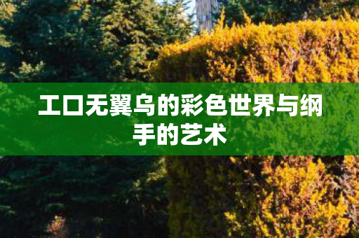 工口无翼乌的彩色世界与纲手的艺术 工口无翼乌的彩色世界与纲手的艺术