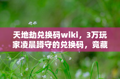 3万玩家凌晨蹲守的兑换码图片