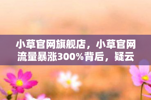 小草官网流量暴涨300图片