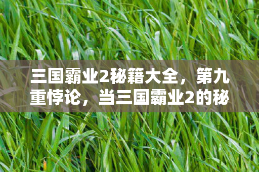 当三国霸业2的秘籍成为审判灵魂的枷锁图片