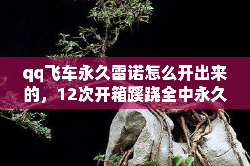 qq飞车永久雷诺怎么开出来的图片