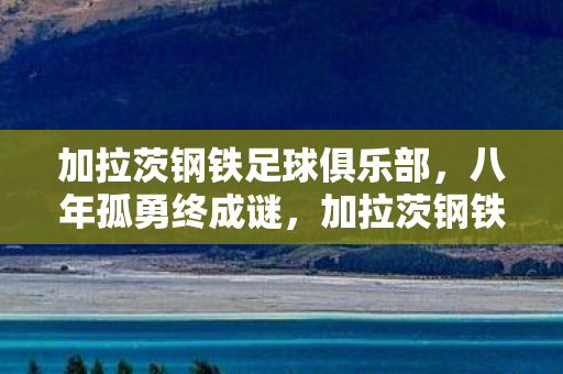 加拉茨钢铁足球俱乐部图片