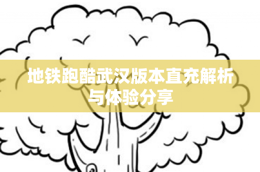 地铁跑酷武汉版本直充解析与体验分享 地铁跑酷武汉版本直充解析与体验分享