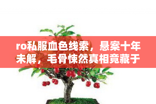 毛骨悚然真相竟藏于代码深渊图片